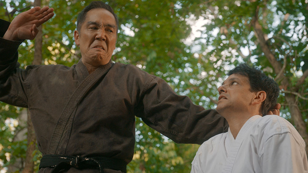 'Cobra Kai' Karate Kicks to the Top of Two Nielsen Streaming Lists