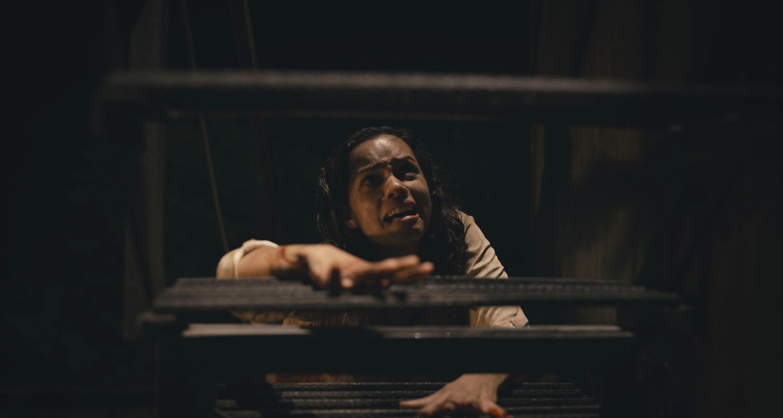 Best Horror Movies of 2022 'Barbarian' 'X,' 'Scream' and More