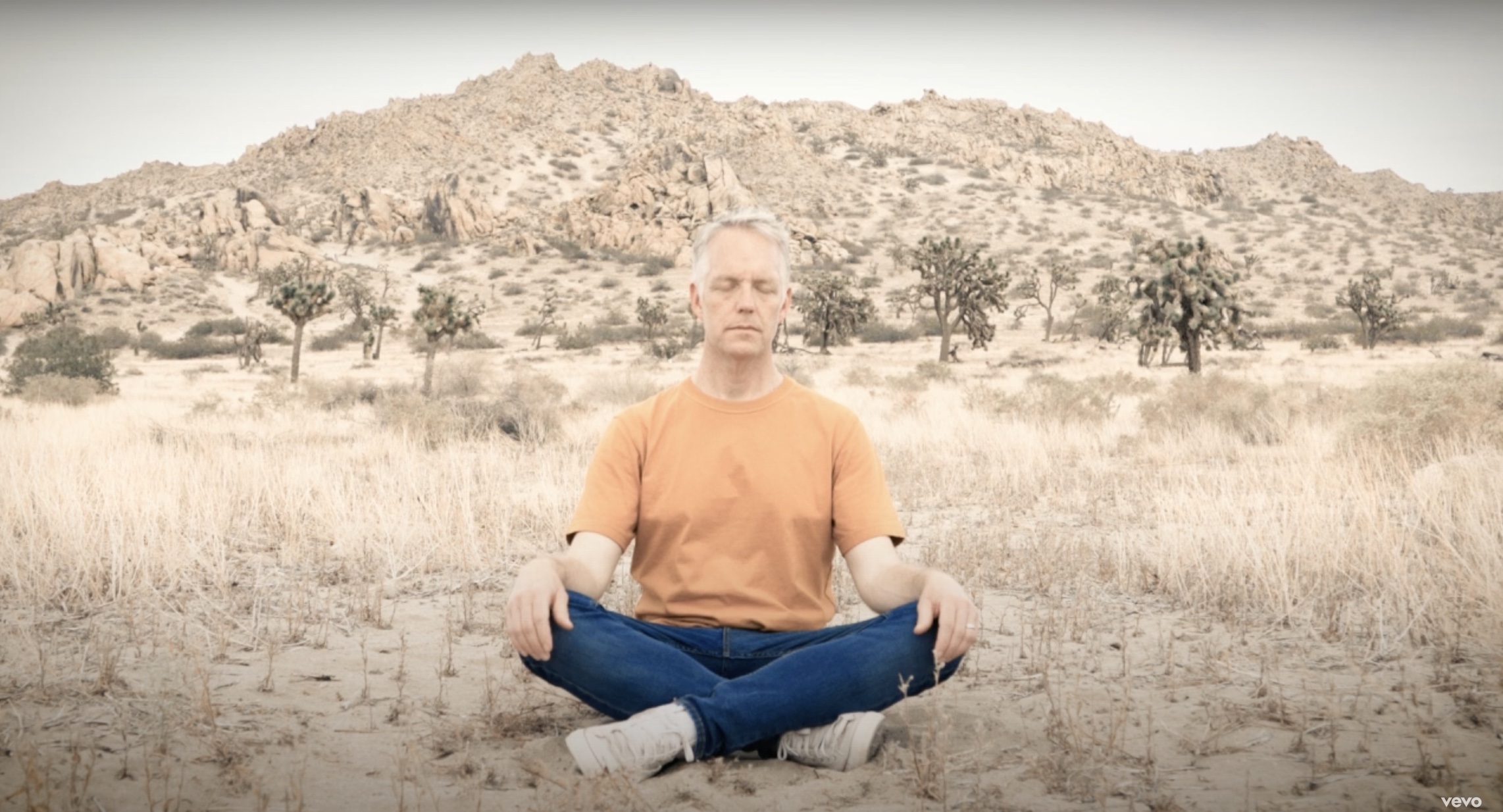 Moby Flower Meaning Best Flower Site