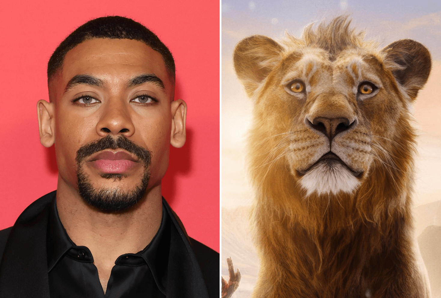 Mufasa Cast What 'The Lion King' Prequel Actors Really Look Like