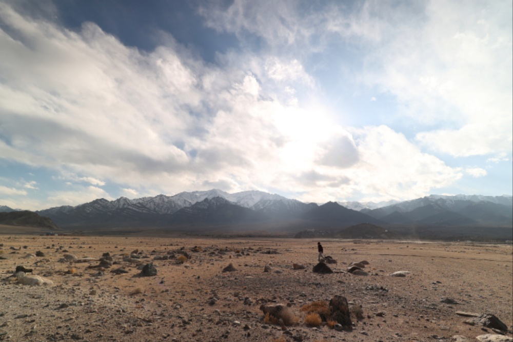 ‘Wolf Dog’ French Producers Board WAVES Film Bazaar Ladakhi Project ‘Idiot’