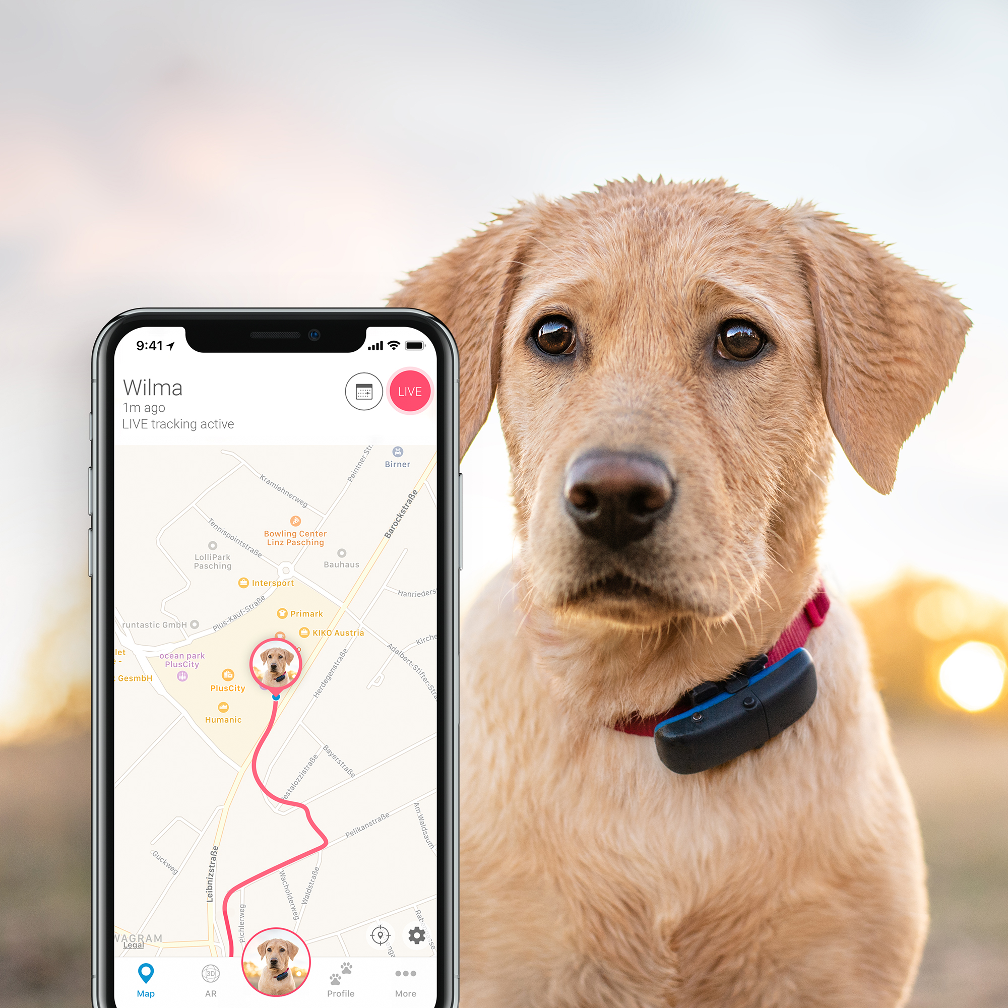 Tractive GPS Hundetracker VarioTek GmbH