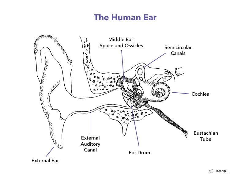Hearing Loss Adelaide ENT Specialist Surgeon Paul Varley ENT