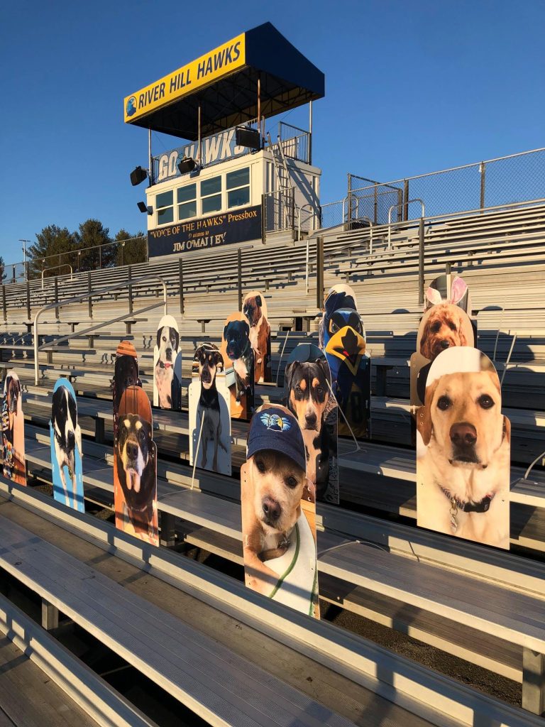 River Hill High School Fans in the Stands Varsity Graphics