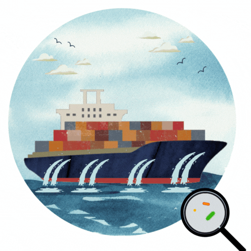 Be compliant with the Ballast Water Discharge Standards. Varuna