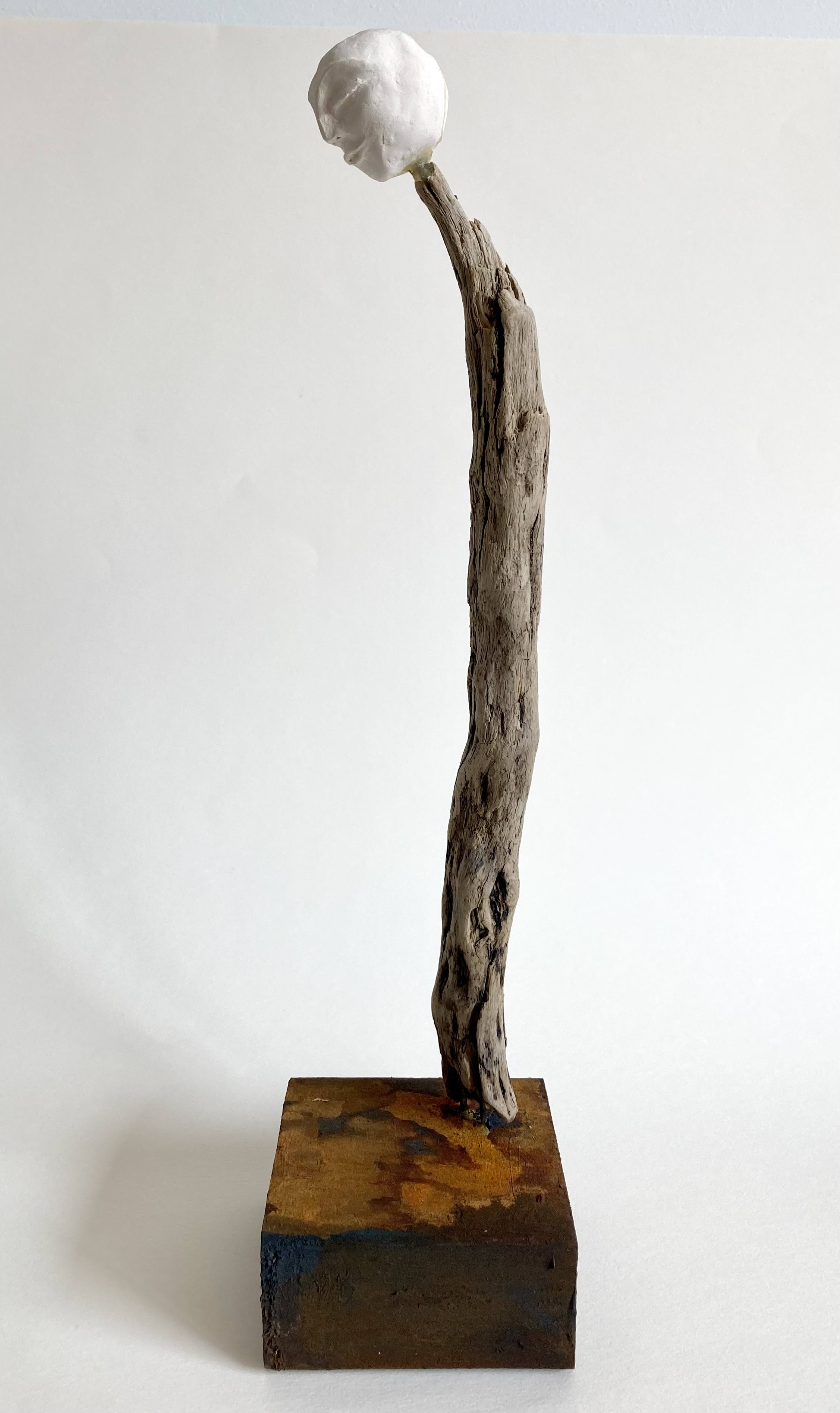 Leaving Only Footprints