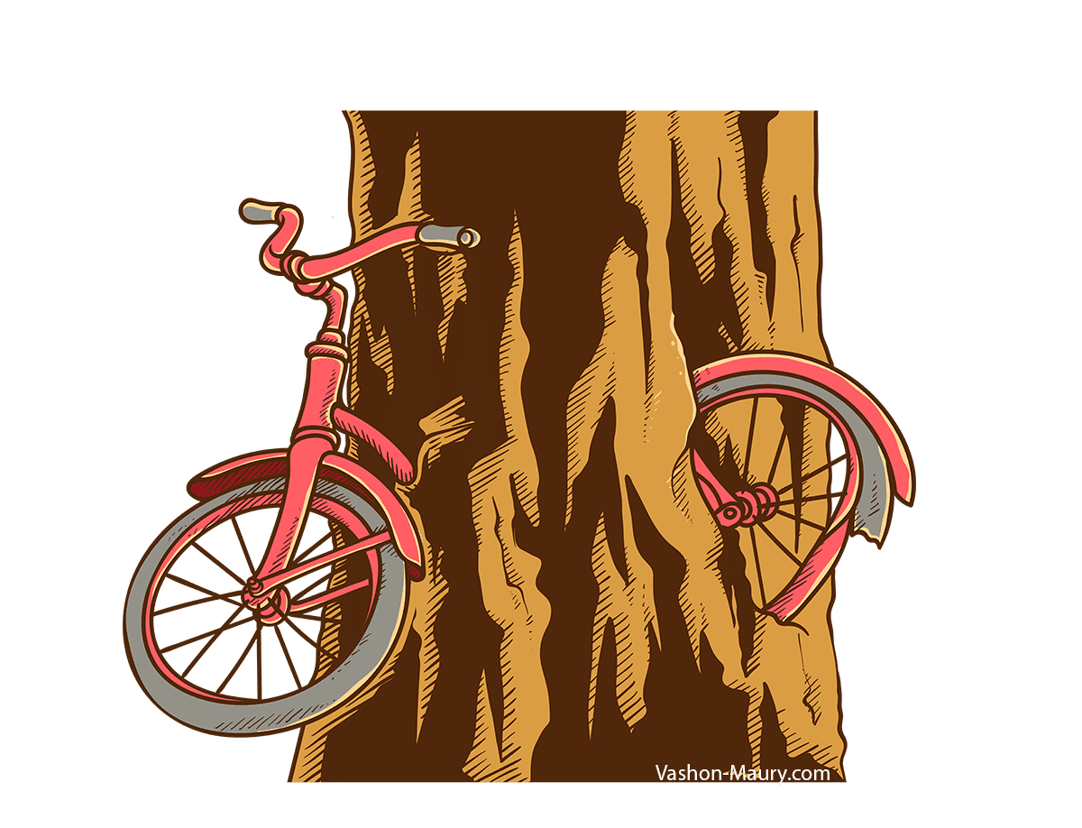 The Story Behind the Bicycle in the Tree on Vashon Island, WA
