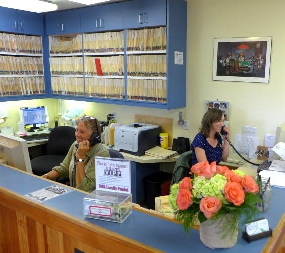 Fair Isle Animal Clinic A Local Vashon Island Business