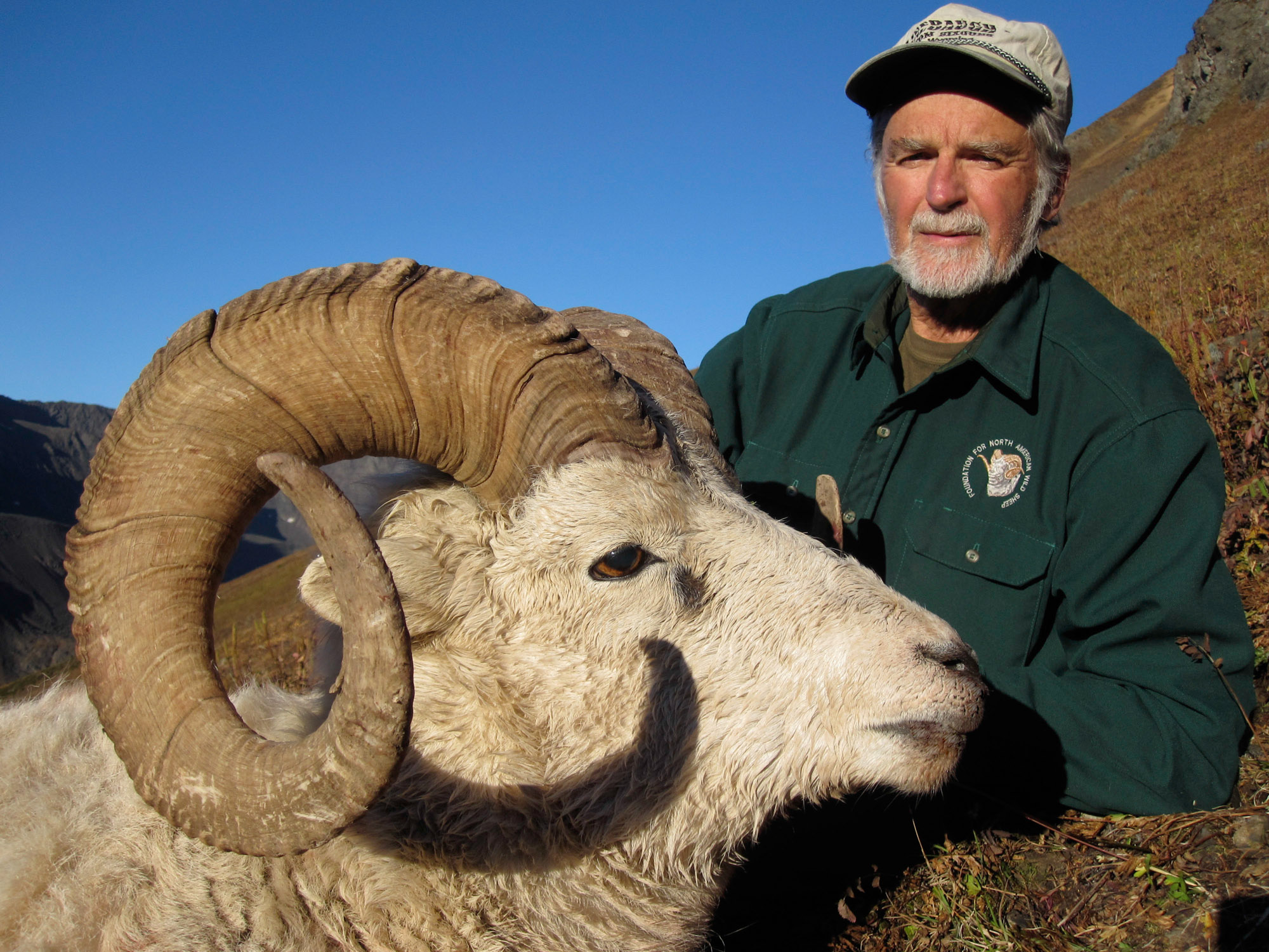 Alaska Sheep Hunting Guided Sheep Hunts with Vast Alaska