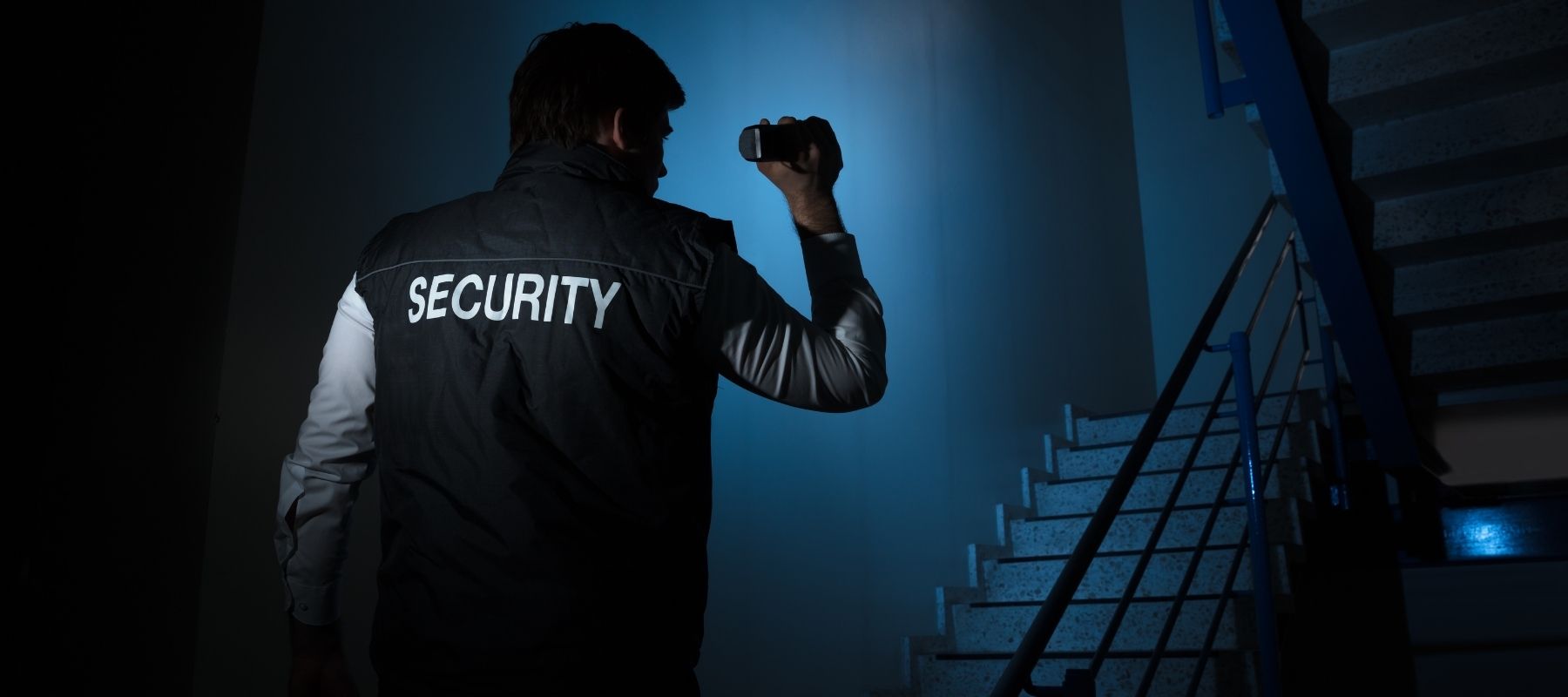 Home Vault Security site