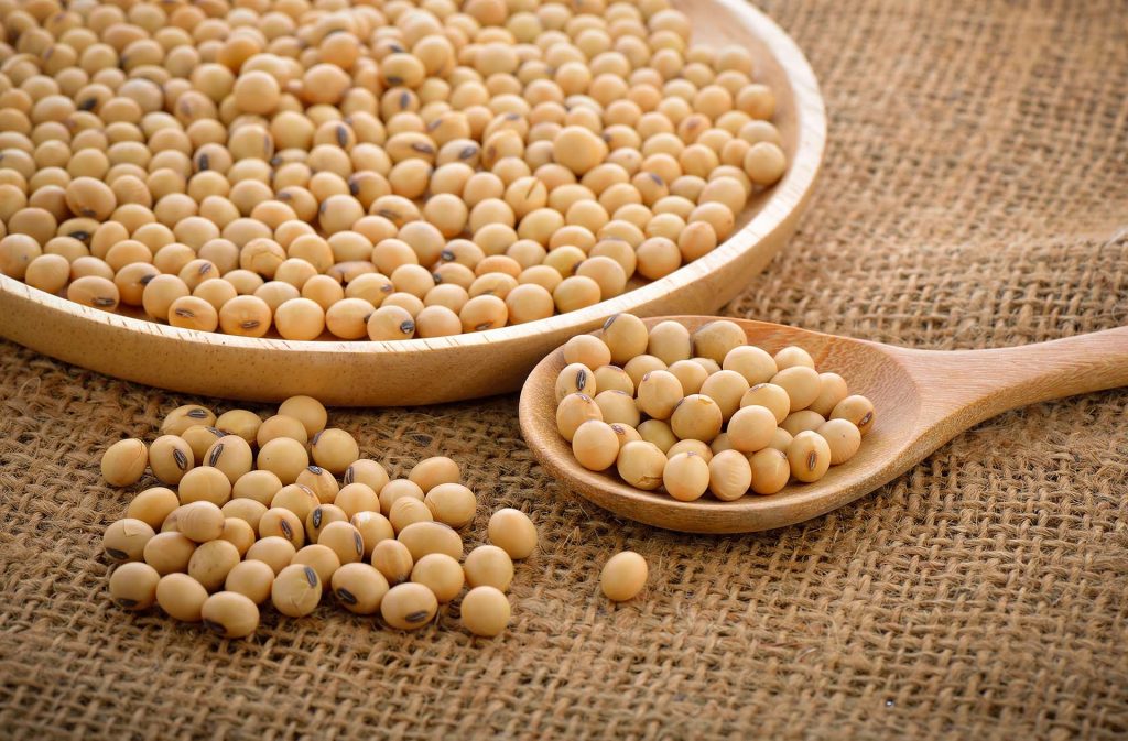 rawmaterialssoybeans Vavego