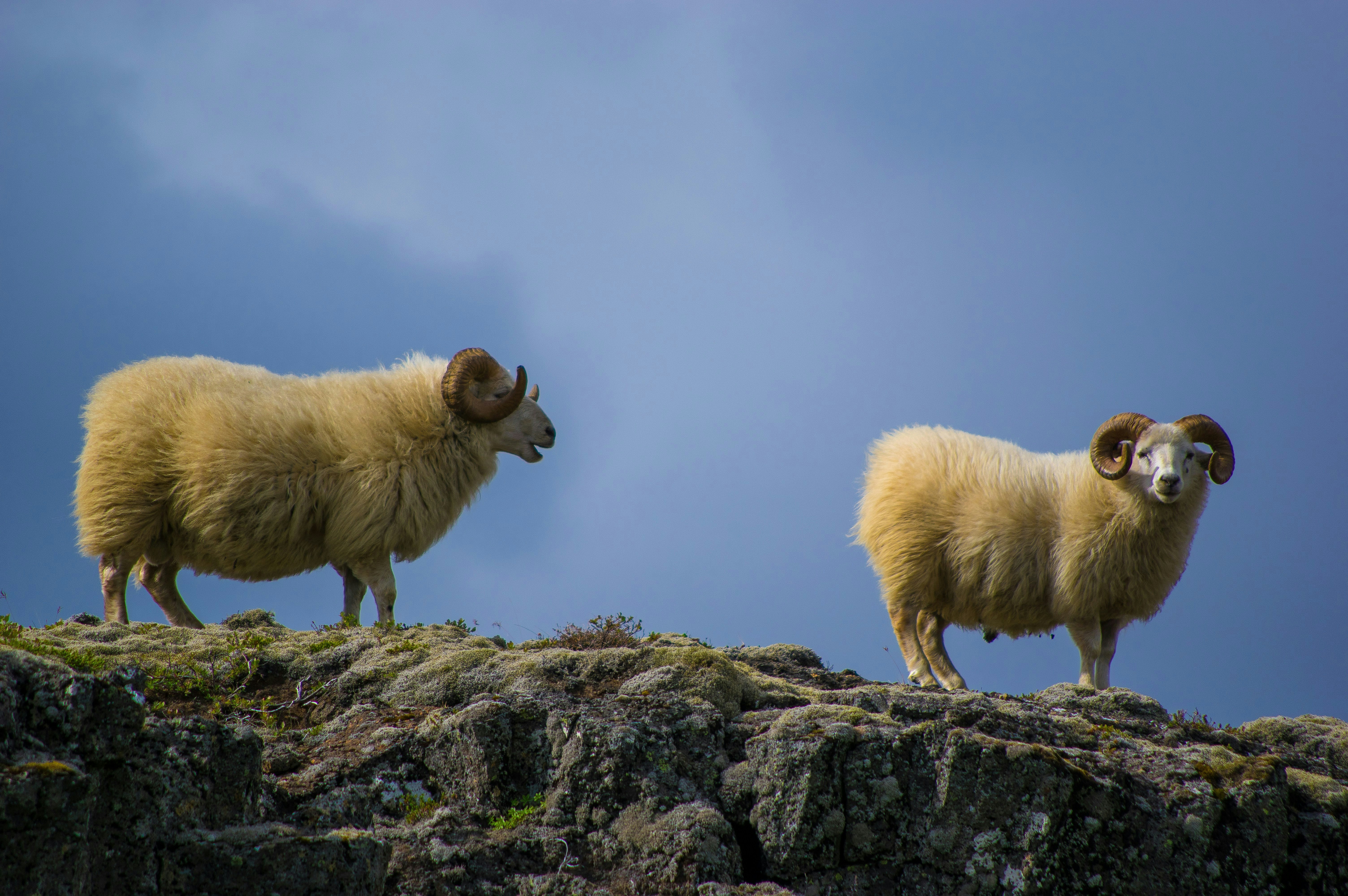 From Knitting to New Discoveries VAWAA Apprenticeships Inspired by