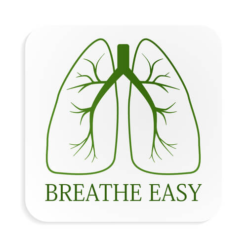 Top 5 Foods that Help your Lungs Breathe Easy Vaya News