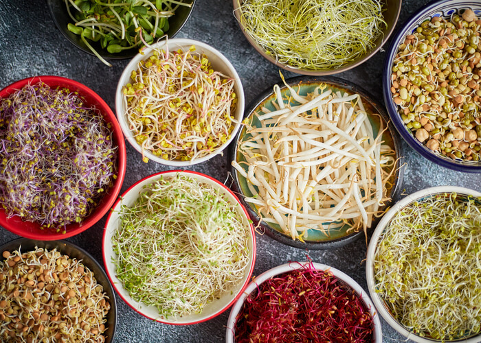 10 Reasons To Include Sprouts In Your Diet Vaya