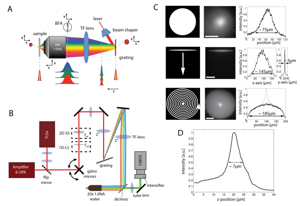 New Paper in Biomedical Optics Express Vaziri Lab
