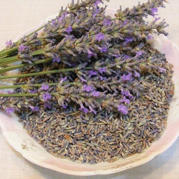 Lavender Buds Premium 1/2oz Valley Blossoms