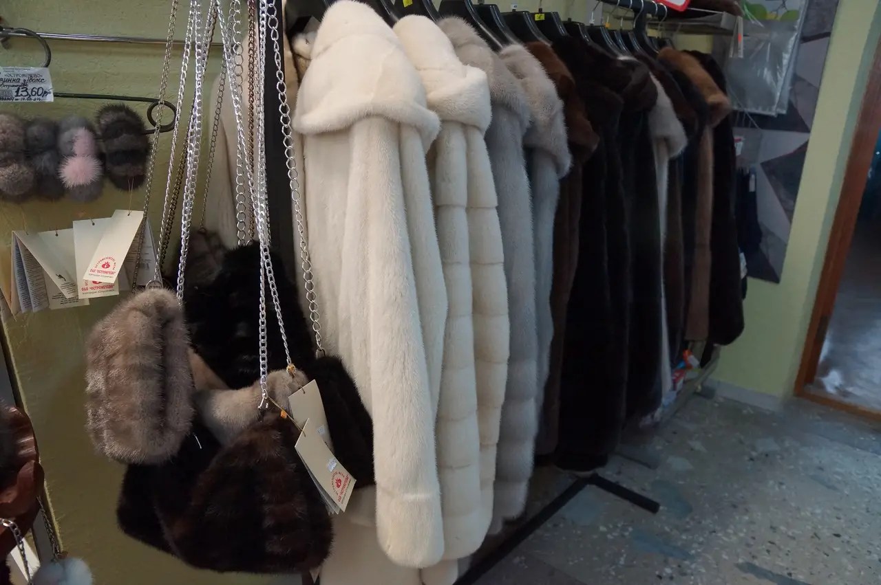 Шубы остромечево