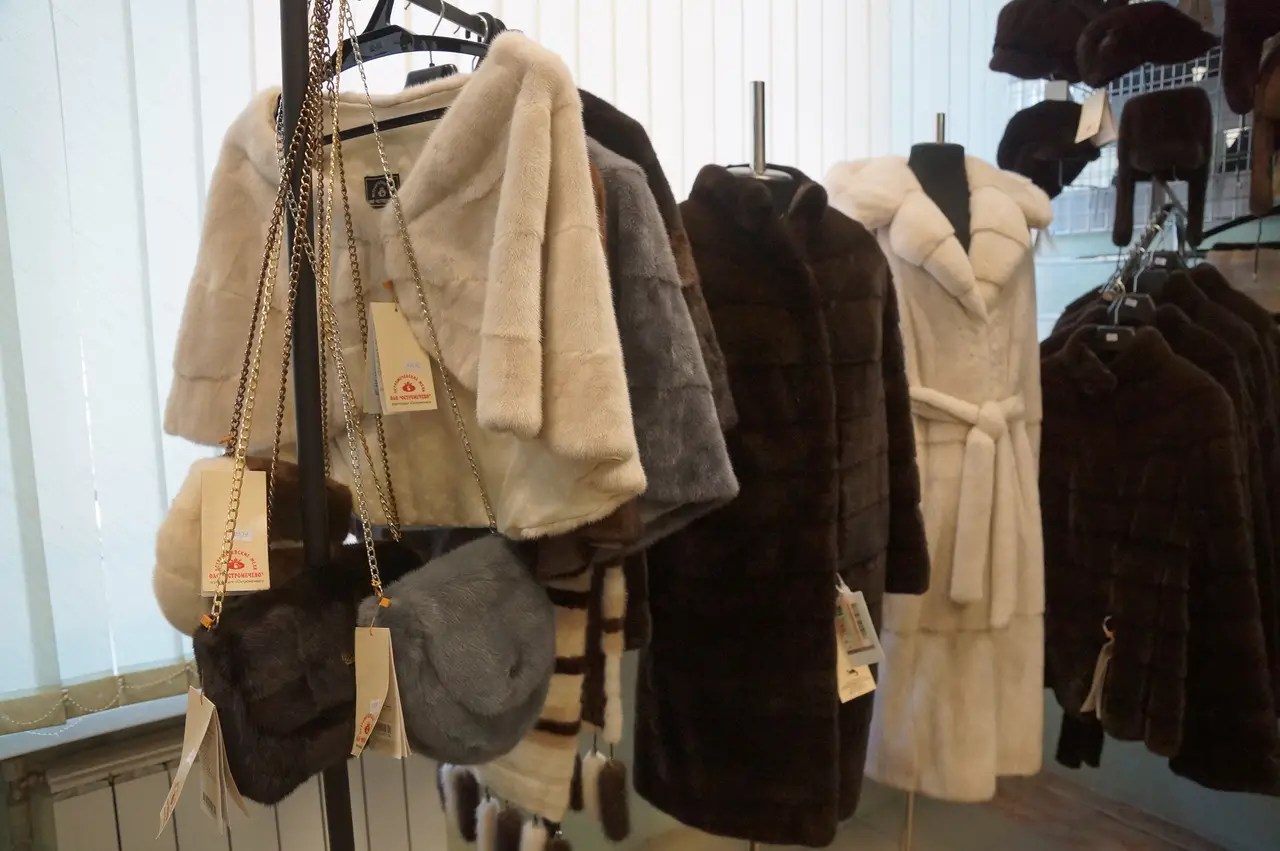 Шубы остромечево