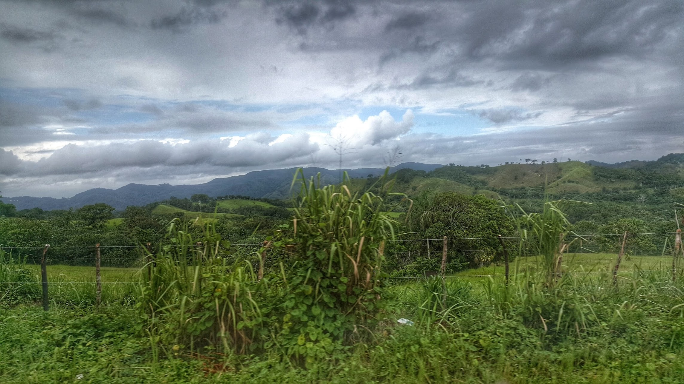 Cotui Just Call me a CaliTexan