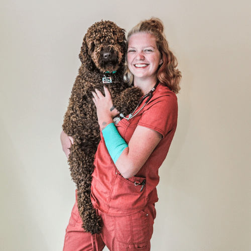 Clinton, AR 72031 Veterinarians Van Buren County Veterinary Clinic