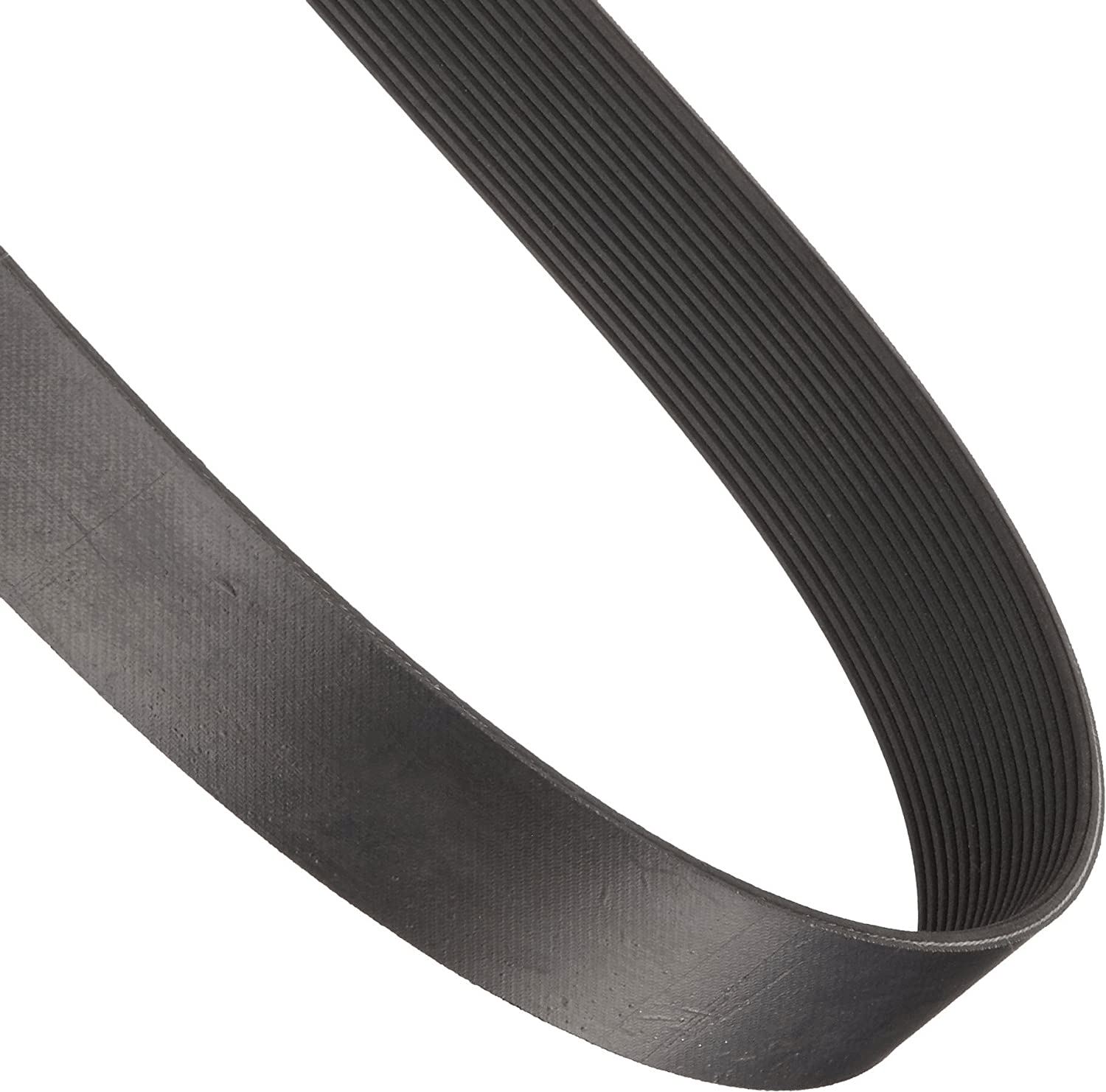 16PJ1168 PolyV Belt V Belts Direct