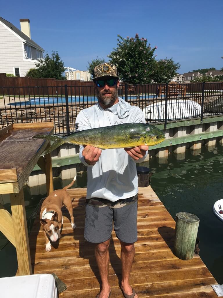 Mahi Mahi Virginia Beach Seafood