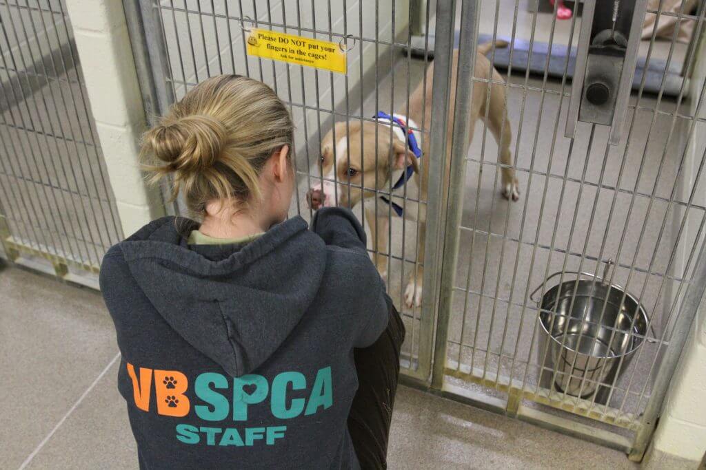 Employment Virginia Beach SPCA