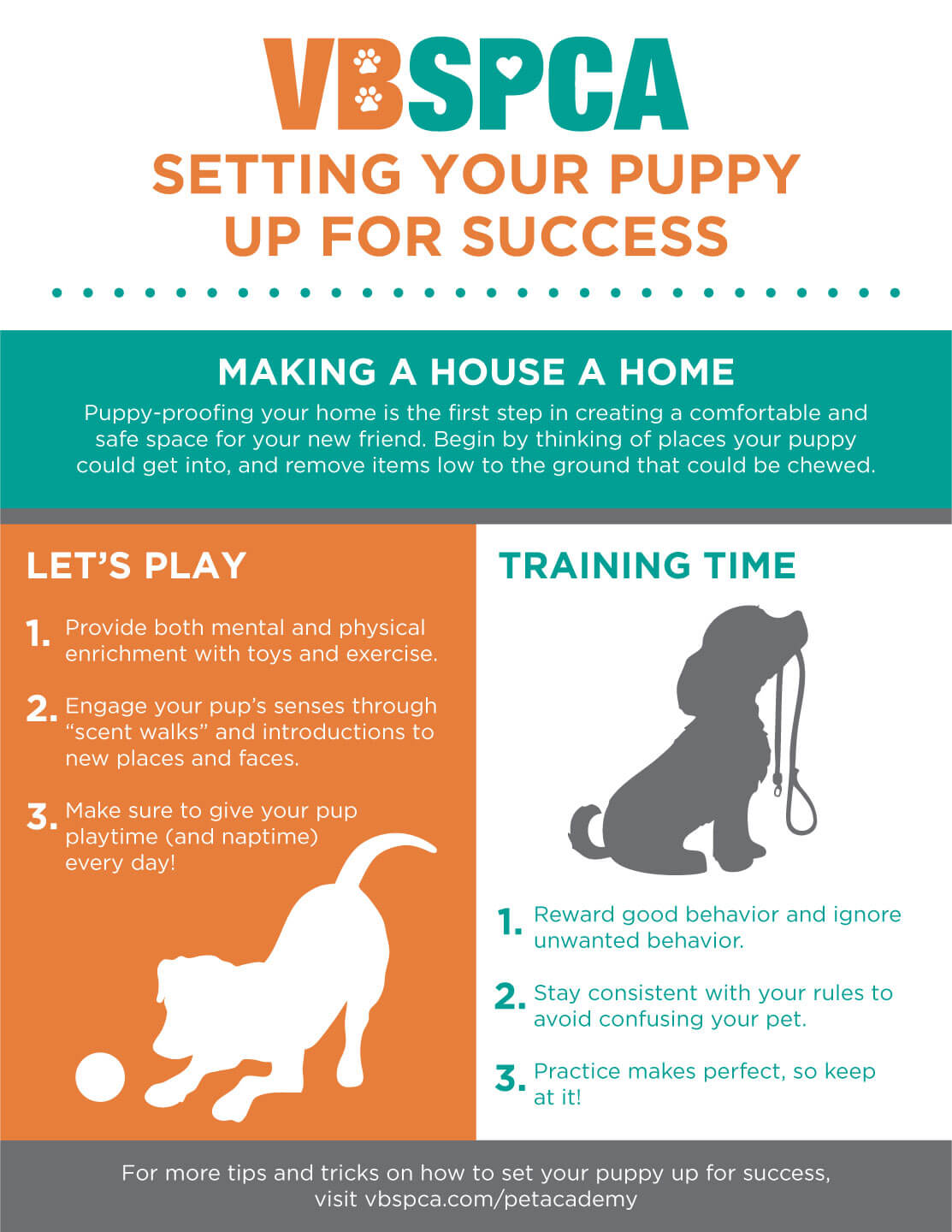Setting Your Puppy Up For Success Virginia Beach SPCA