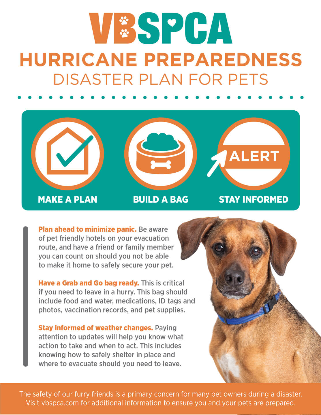 Hurricane Preparedness — Disaster Plan for Pets Virginia Beach SPCA