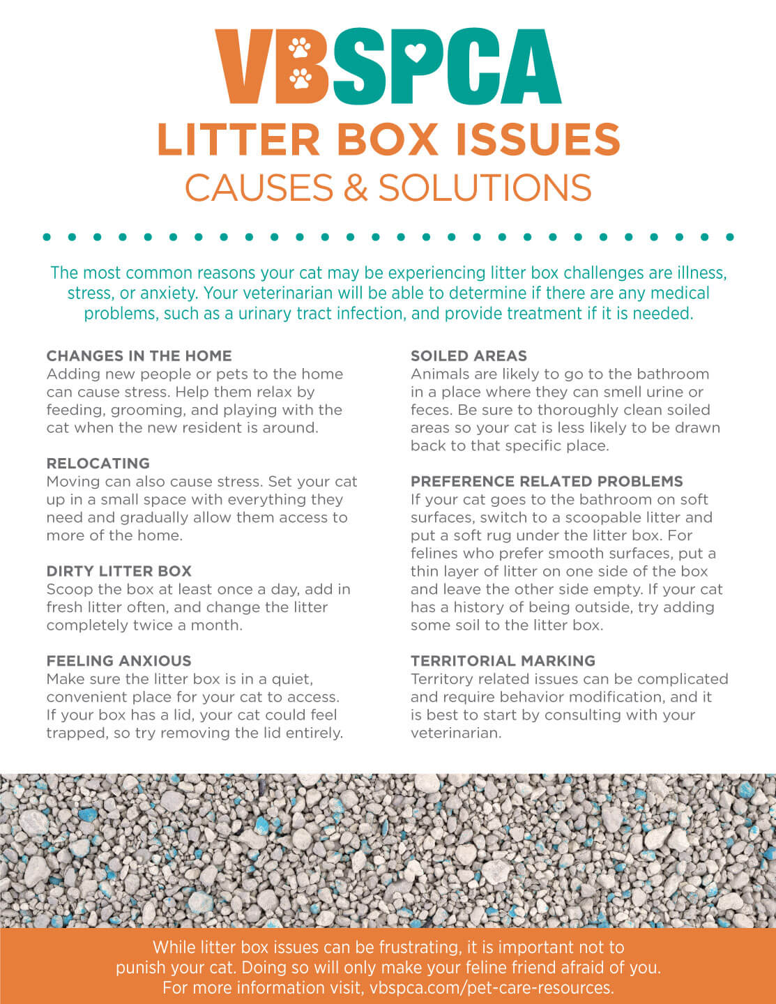 Litter Box Issues Causes and Solutions Virginia Beach SPCA