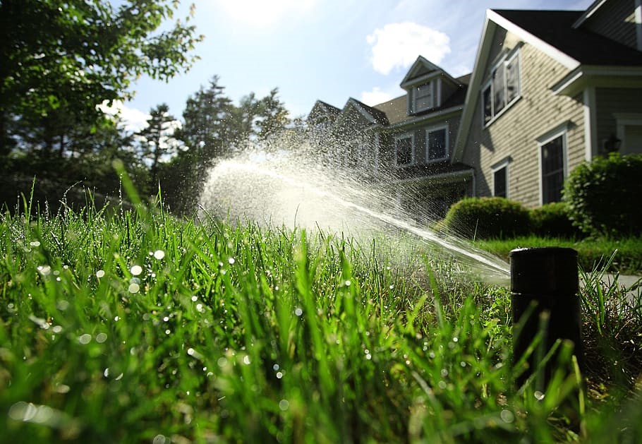 4 Ways to Reduce Outdoor Water Use in California VCA Green