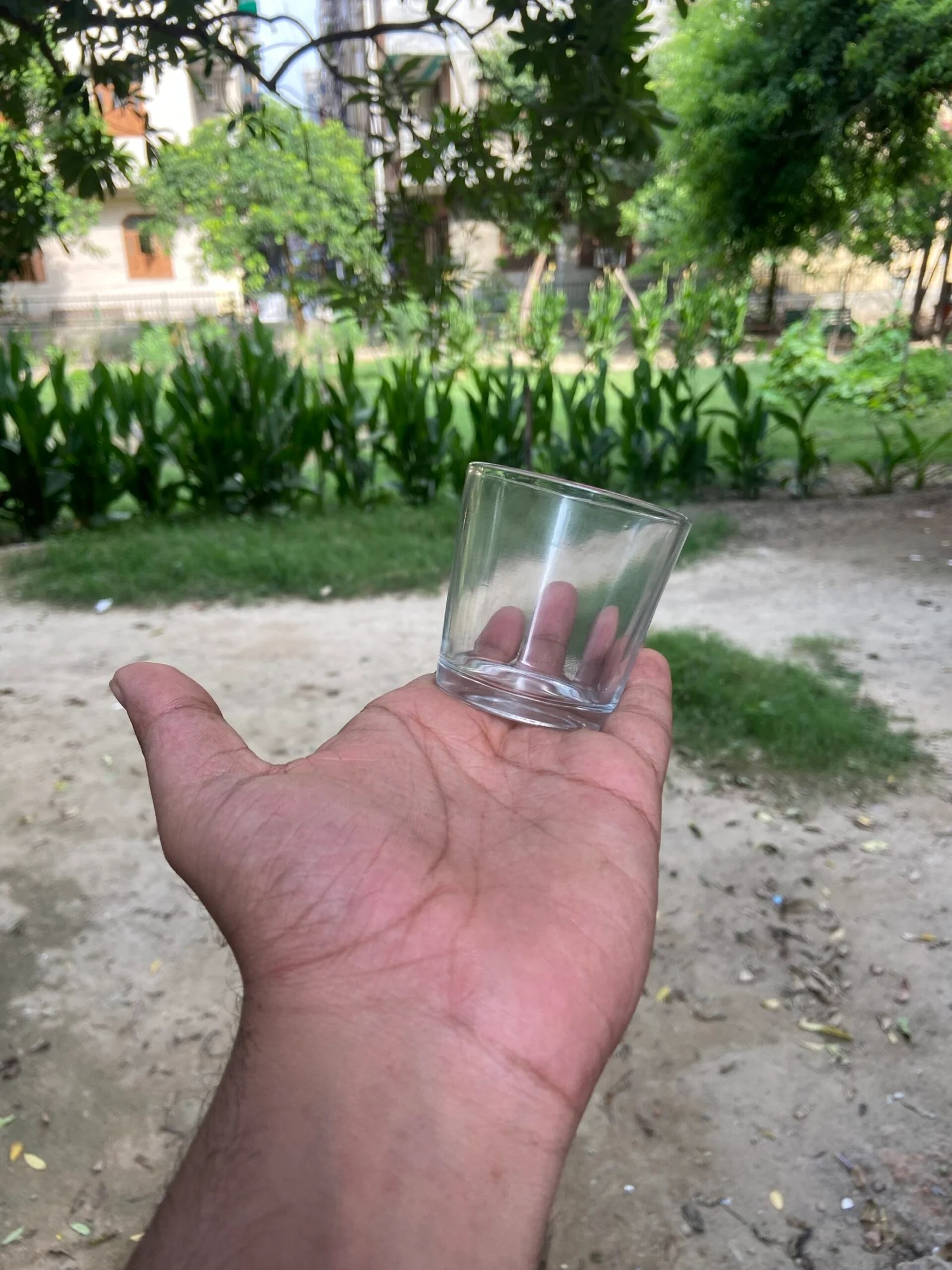 Shot Glasses For Candle Making 1.5 Inch Transparent