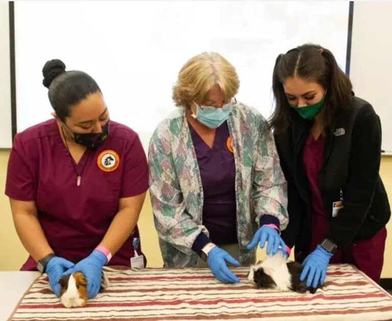 VCCF Awards 192,556 to To Support Ventura College Vet Tech Program