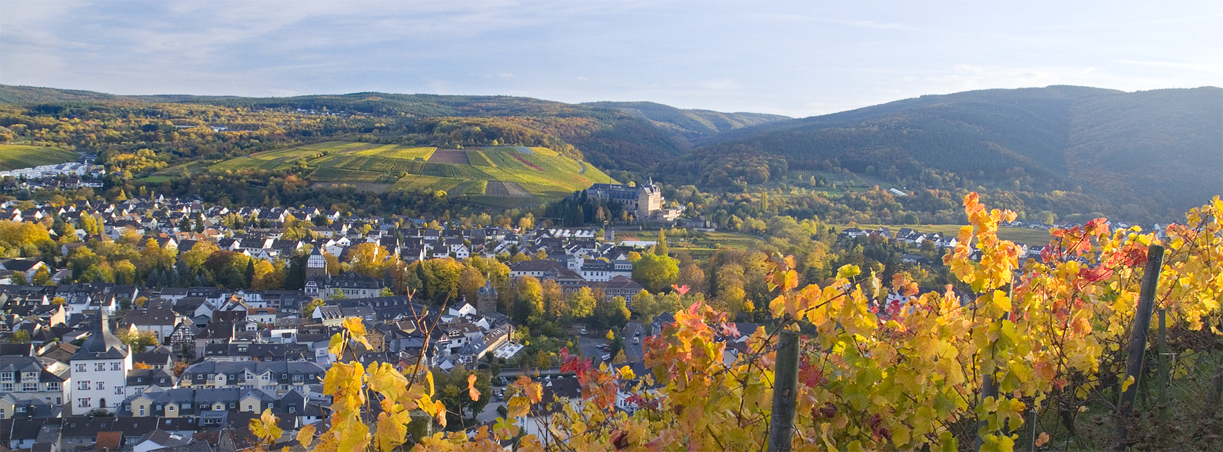 BERGFEX Panoramakaart Bad NeuenahrAhrweiler Kaart Bad Neuenahr