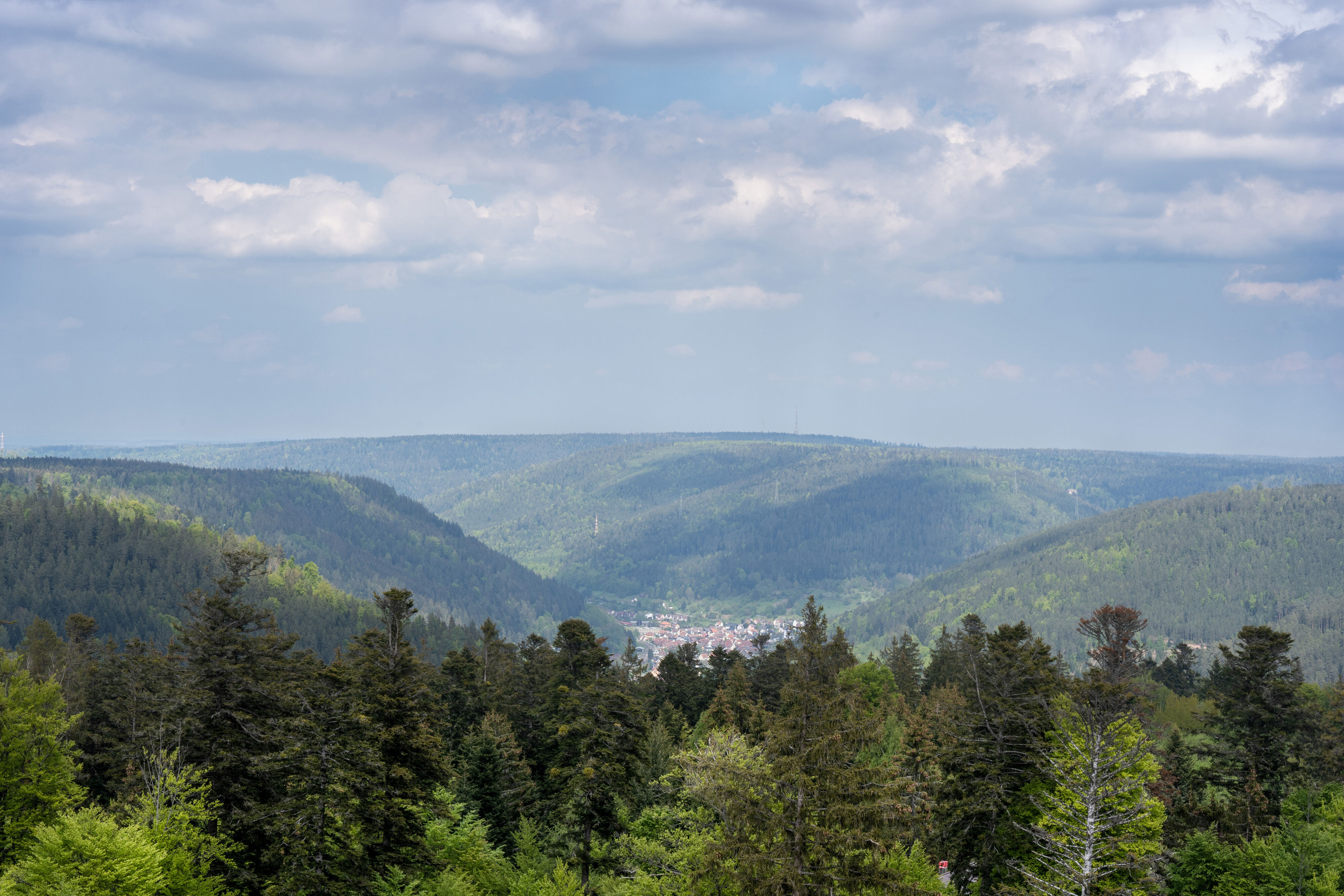 BERGFEX Panoramakarte Enztal Karte Enztal Alm Enztal