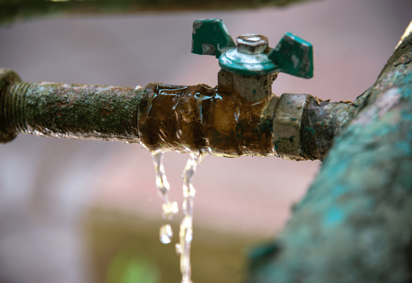 The Hidden Dangers of Slow Water Leaks in Commercial Buildings