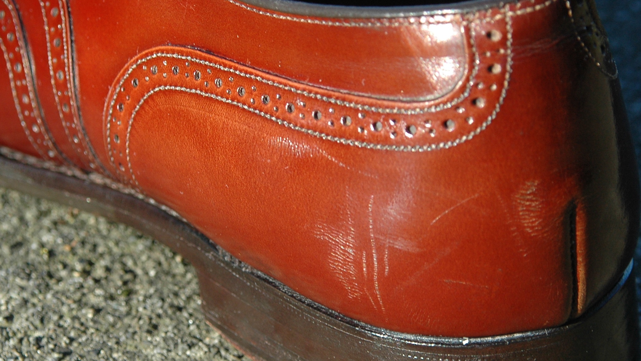 Caring for Bookbinder/Corrected Grain Leather vcleat