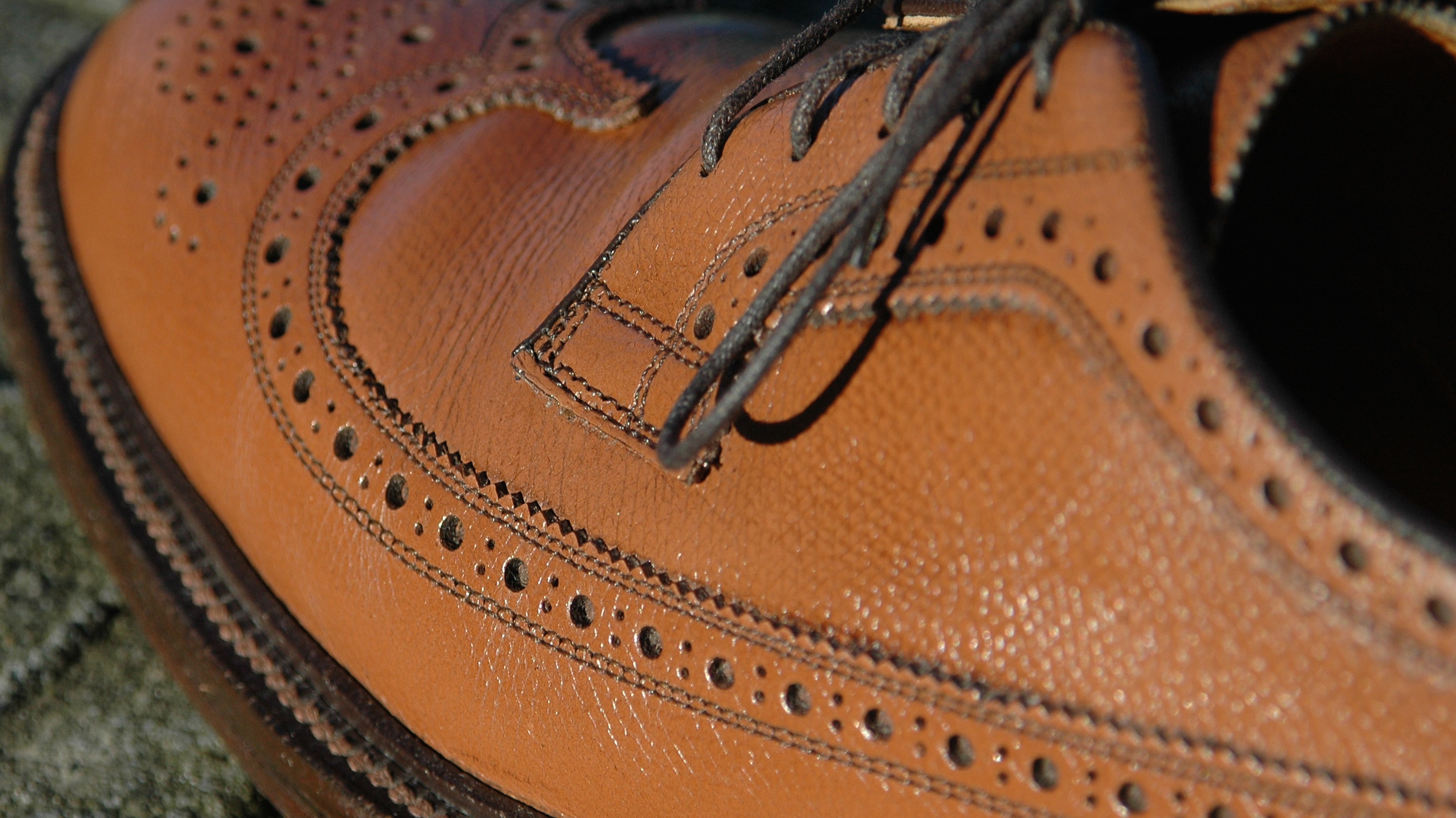 Caring for Bookbinder/Corrected Grain Leather vcleat