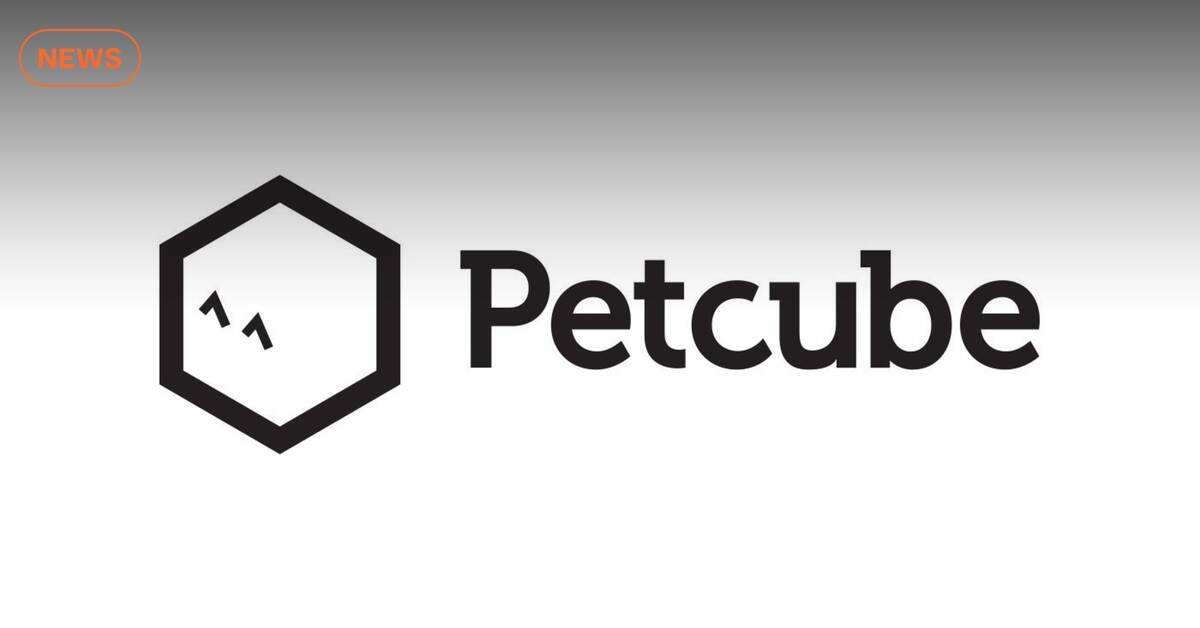 Petcube запускає свої продукти в Україні. Що відомо? Vector