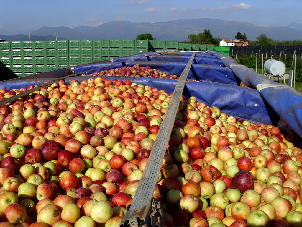 Van Den Bosch Import Export Transito