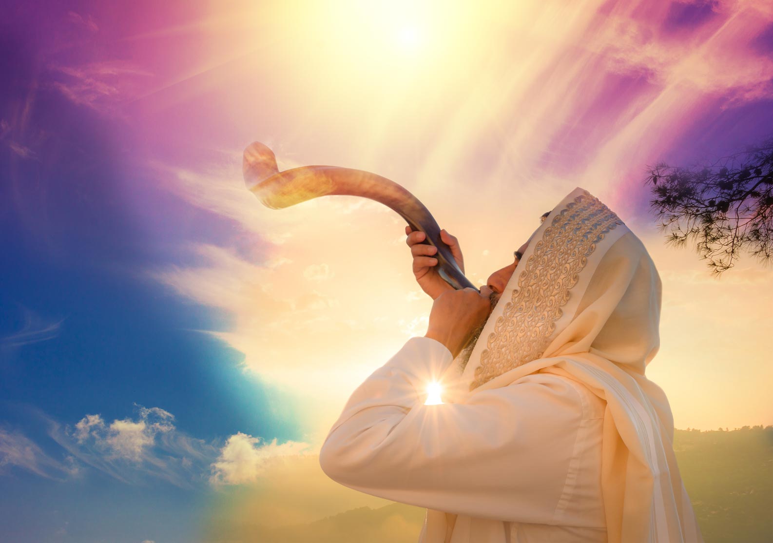 ELUL 5781 El mes de las trompetas VdD7