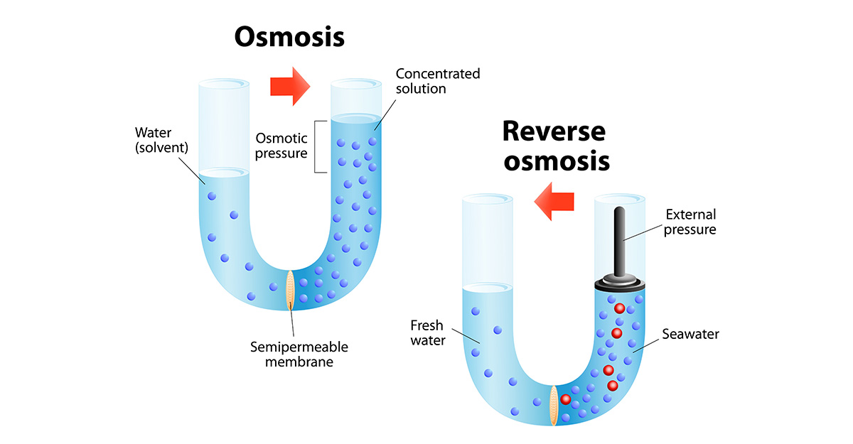 ¿Qué es la osmosis? VDF