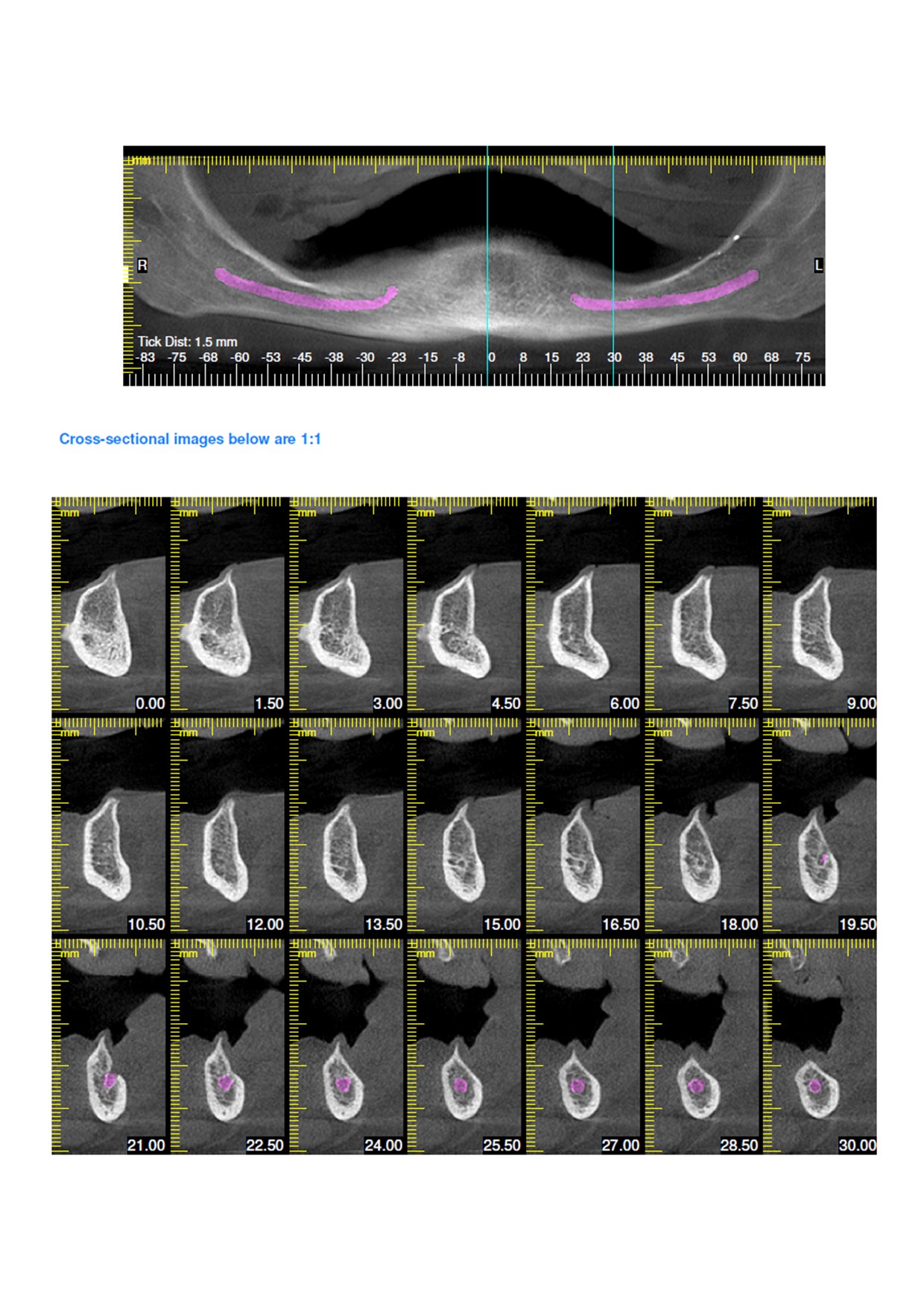 For Dentists Victorian Dental Imaging Group
