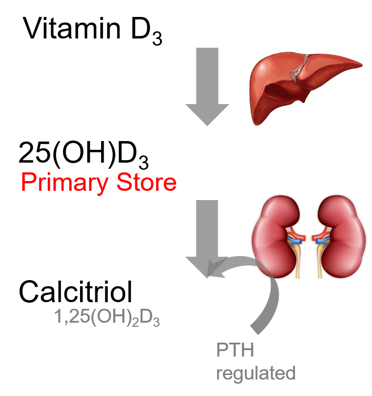 Vitamin D Intoxication VDI Laboratory, LLC