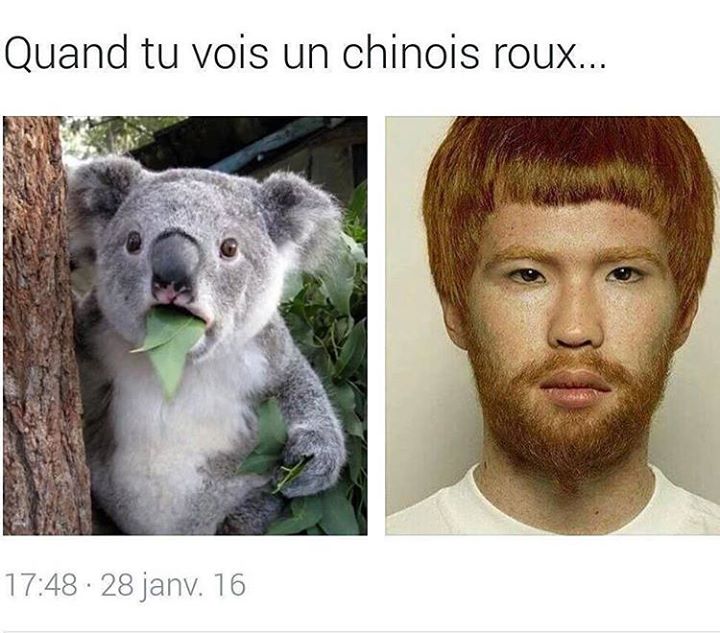 chinois roux Image drole à découvrir sur V.D.R. les dernières images