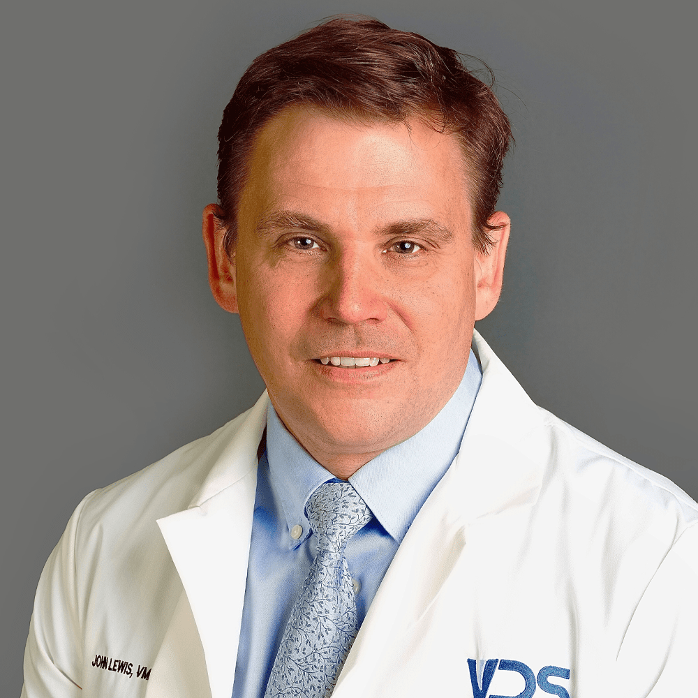 Team Veterinary Dentistry Specialists Our Veterinary Specialists