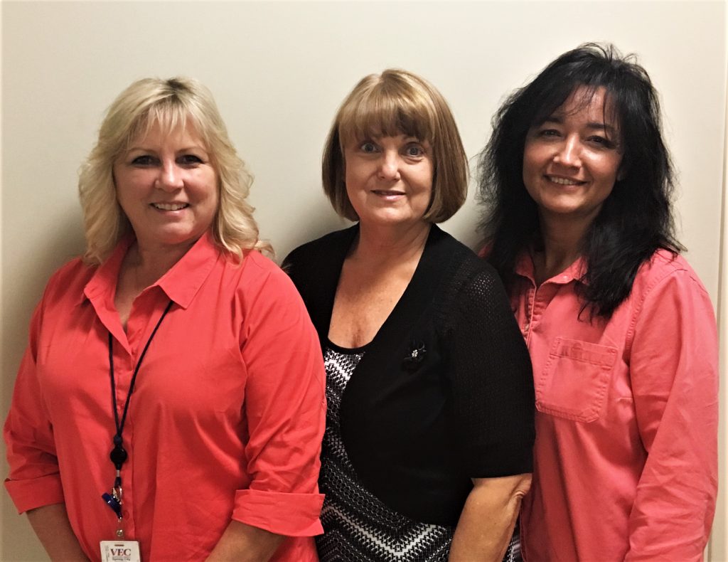 Spring City Volunteer Energy Cooperative