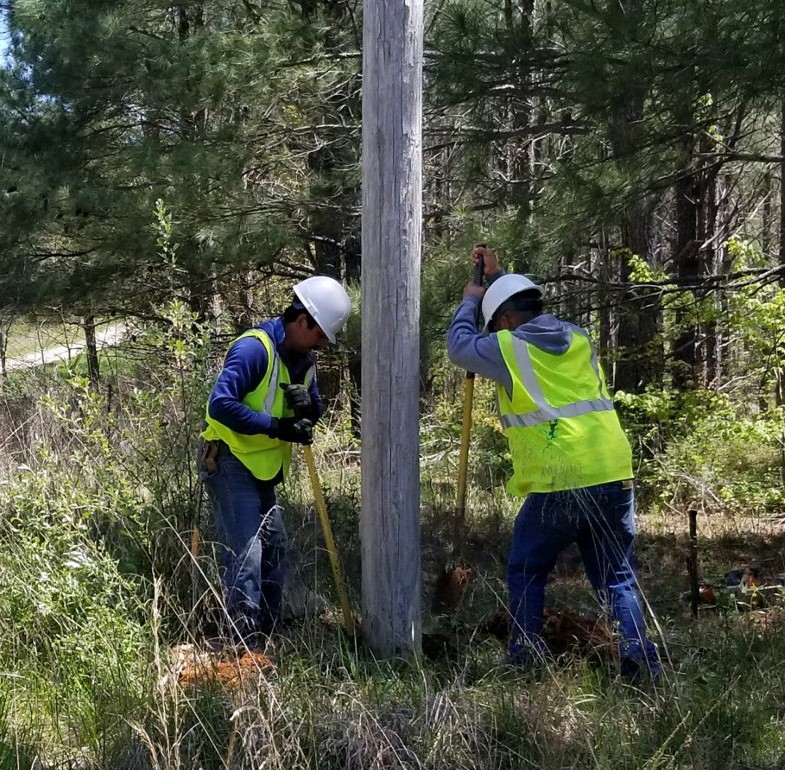 Power Pole Inspections Volunteer Energy Cooperative