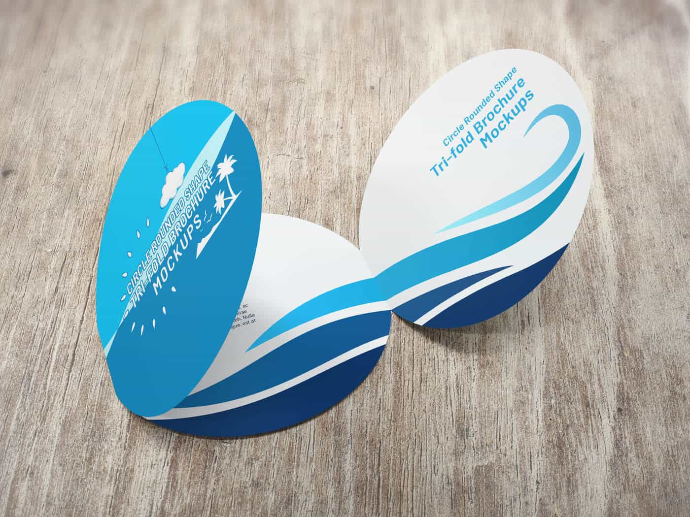 Circle Rounded Shape Brochure Mockups On Vectogravic Design