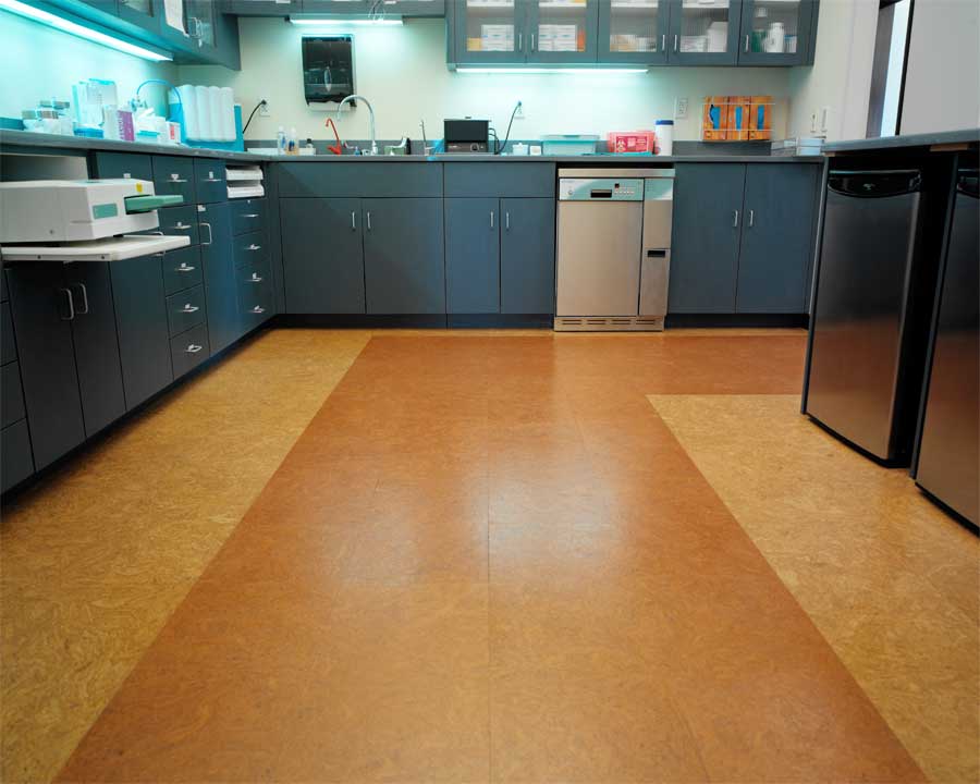 Dental Office Flooring Vector Concepts